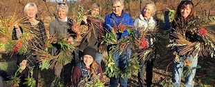 Peachwood wreaths