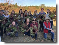 Beautiful wreaths in the orchard